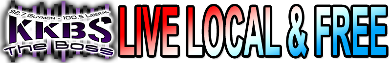 Perfect multi-column CSS liquid layouts - iPhone compatible